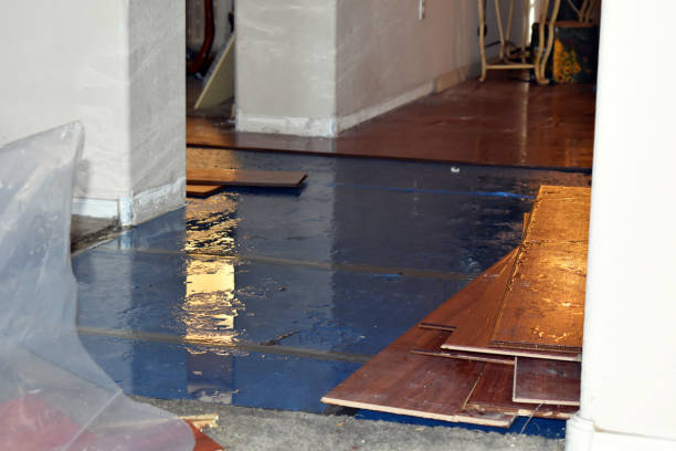 Professional Burst Pipe Cleanup technician working in Elkview, WV